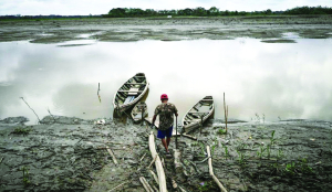 Global warming is causing rivers to slowly lose oxygen, threatening fish and other lives: Study