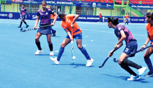 Goa, Bengal, Chandigarh, Uttarakhand win