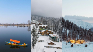 Government Announces New Digital Policy to Boost Startups