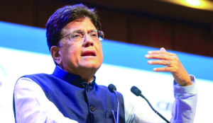 Government does not interfere in exchange rates: Goyal