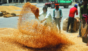 Government foodgrain nearly three times of buffer requirement