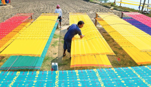 Government proposes integrated programme to boost textile sector