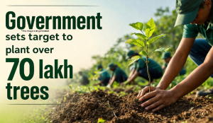 Government sets target to plant over 70 lakh trees