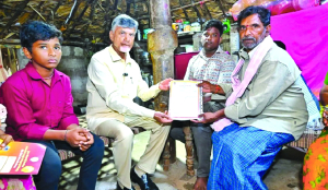 Govt disbursed over Rs 68,000 cr as welfare pensions: CM Naidu