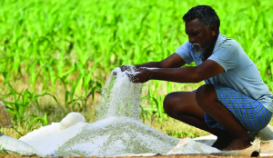 Govt expands digital fertiliser tracking system to link farmers