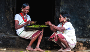 Govt extends special funding to 38 former Naxal-hit districts