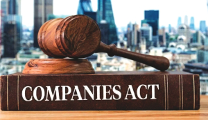 Govt plans to rationalise filing framework under companies law