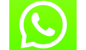 Govt seeks pause on WhatsApp usernames