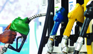 Govt tightens no PUC, no fuel rule, data shows 15K vehicles denied fuel