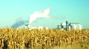 Govt to cut broken rice in PDS to free up ethanol feedstock, says food secretary