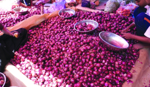 Govt to release onions at Rs 35 per kilo as retail prices surge