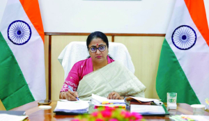 Govt to spend Rs 17,000 crores to enhance power sector