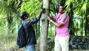 Haldwani forest division uses AI to monitor birds