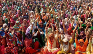 Haryana govt puts SC quota in Group A, B promotions on hold pending HC verdict
