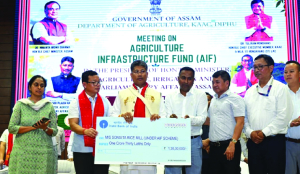 Hazarika reviews agriculture, irrigation schemes in Diphu