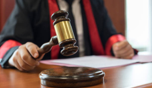 HC denies stay on FRO appointment cancellation, seeks Govt reply