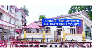 HC directs to Assam to pay two women for pushing them to Bangladesh