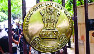 HC seeks report from Delhi Govt on steps taken to remove stray dogs by July 31