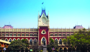 HC tells police to provide Majumder case details