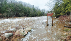 Heavy rains in northwestern Haiti kill 12 people