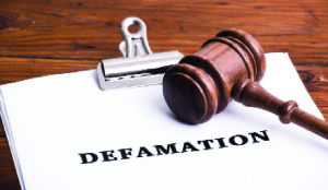 Himachal ex-deputy advocate general booked for defamation