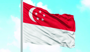Hindi authors laud Singapore Govt’s effort to support Indian languages