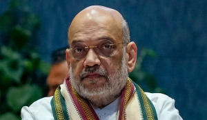 Hindi's progress meaningful only with dignity, promotion of other Indian languages: Amit Shah