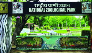 Hog deer found dead at Delhi zoo