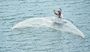 HP’s first trout hub to be set up in Kangra