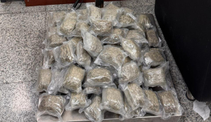 Hydroponic cannabis worth Rs 2.71 crore seized at Hyderabad airport