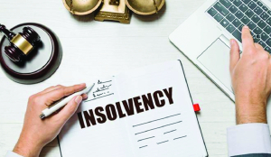 IBBI seeks stronger safeguards for personal guarantors