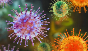 ICMR says Hantavirus cases isolated, no immediate health threat to India