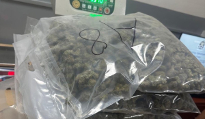 IGI Airport: Customs seizes nearly 9 kg of suspected hydroponic weed from Bangkok flyer