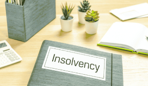 IIIPI organises workshop on cross-border insolvency