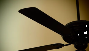 IIT Bombay to replace ceiling fans with wall-mounted fans after student's suicide