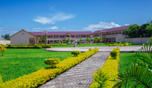 IIT Madras innovation targets antimicrobial resistance