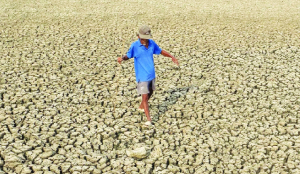 India’s climate defence begins at the doorstep