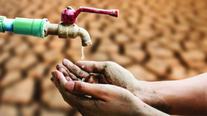 India’s water crisis: Scarcity or mismanagement?