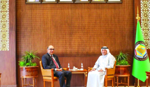 India, Gulf bloc discuss next steps on free trade agreement