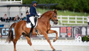 India''s Chheda and Sud finish 8th and 9th in dressage final