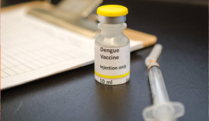 India approves first Dengue Vaccine 'QDENGA' for people aged 4 to 60