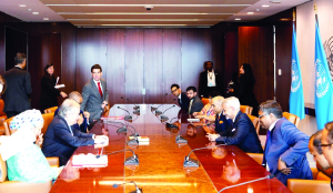 India begins bid for UNSC non-permanent seat