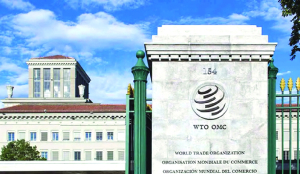 India blocks China’s plea for panel on solar sector at WTO