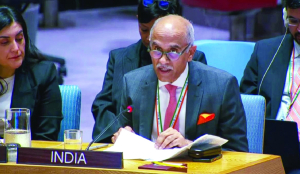 India calls for united action against terrorism