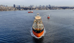 India Condemns Attacks on Ships in Strait of Hormuz at UN