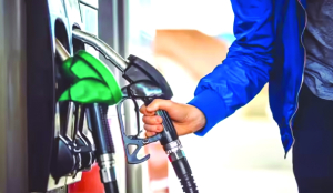 India fuel retailers face credit strain as high oil prices persist, says Fitch