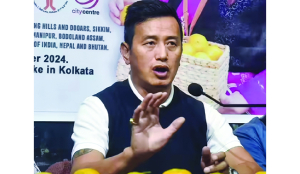India has better chance if WC expanded to 64 teams, says Bhaichung