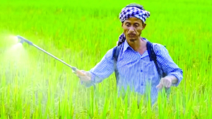 India must cut fertiliser import dependence, leverage AI and precision tech: ICAR chief