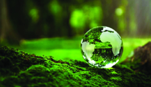 India needs to scale sustainability-aligned investments to meet climate goals: CII