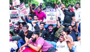 India rejects UN concerns on Delhi protest